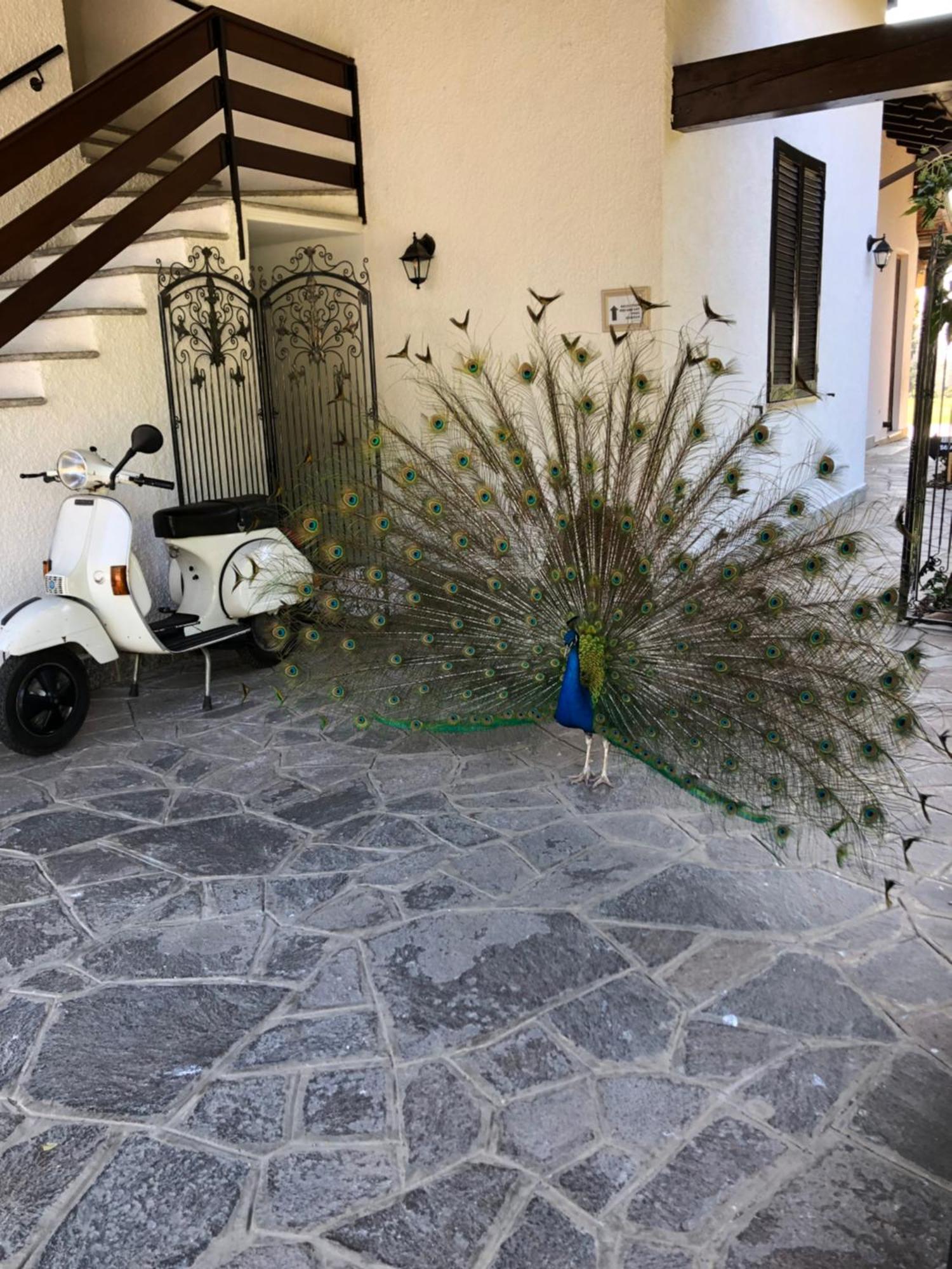 "Ai 4 Soli" Cermenate Exteriér fotografie