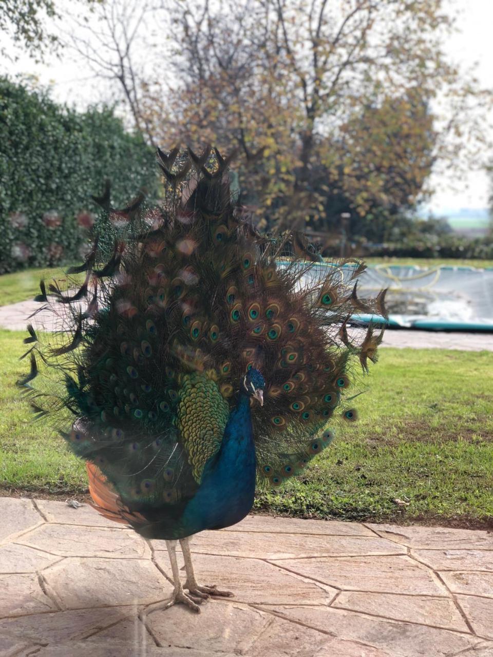 "Ai 4 Soli" Cermenate Exteriér fotografie